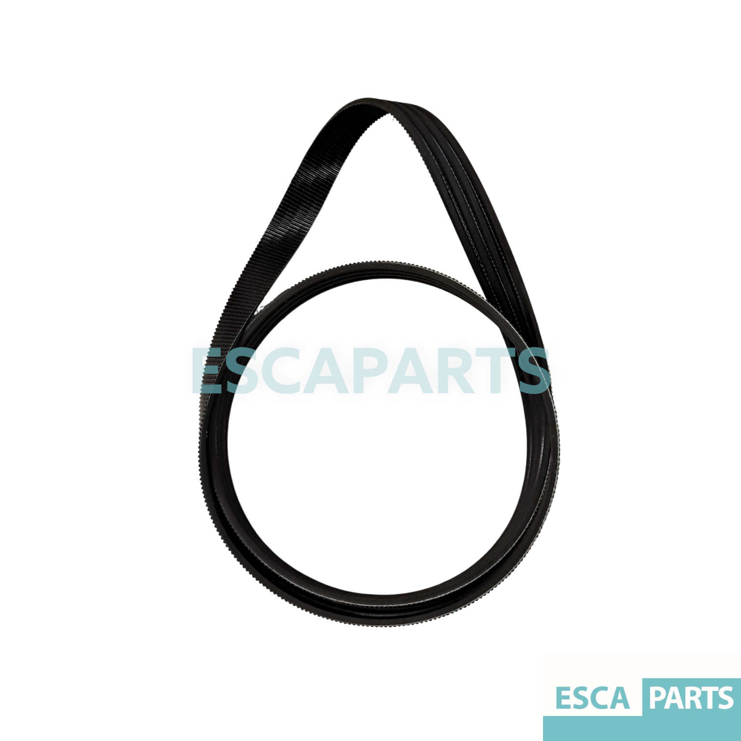Handrail Drive Belt 506NCE, 1900 mm – compatible with Otis-1